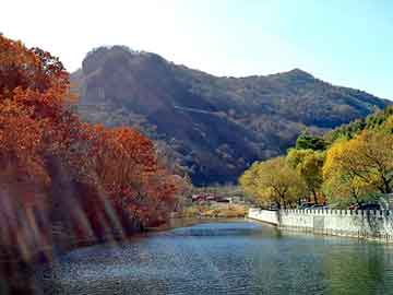 新澳门二四六天天彩，永胜seo建站